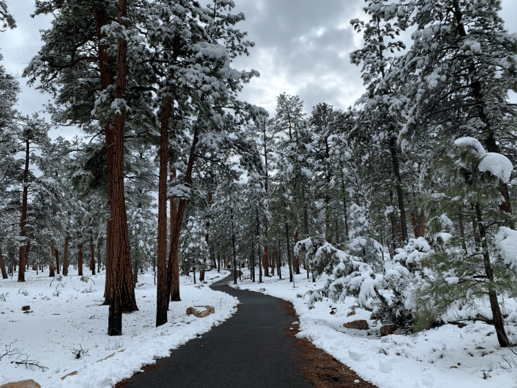 Grand Canyon Park Snow